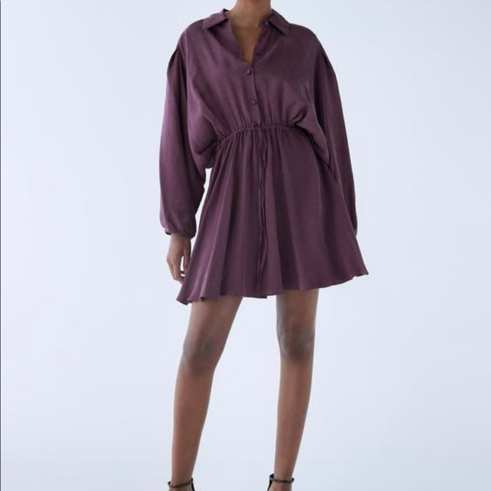 Zara shirtdress